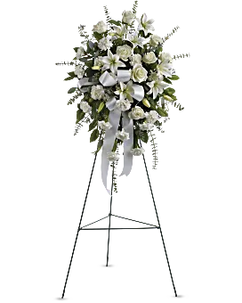 Sentiments of Serenity Spray